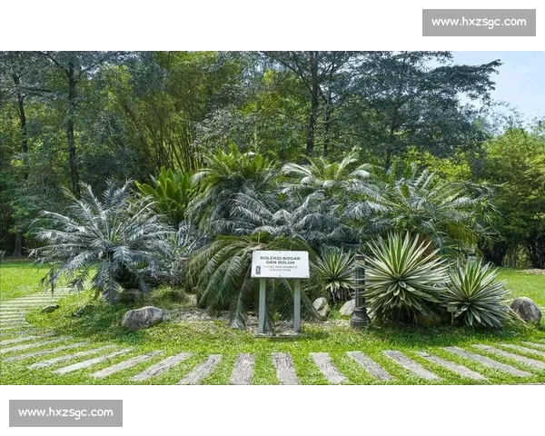 金杯赛非洲独苗：南非 2005 年的跨洋之旅