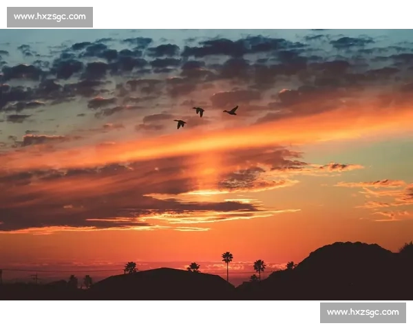 南疆绿茵星火燃